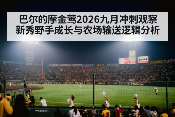 巴尔的摩金莺2026九月冲刺观察 新秀野手成长与农场输送逻辑分析